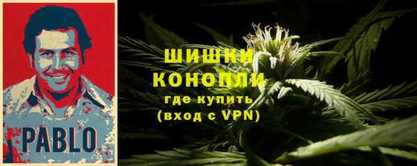 ALPHA PVP Беломорск