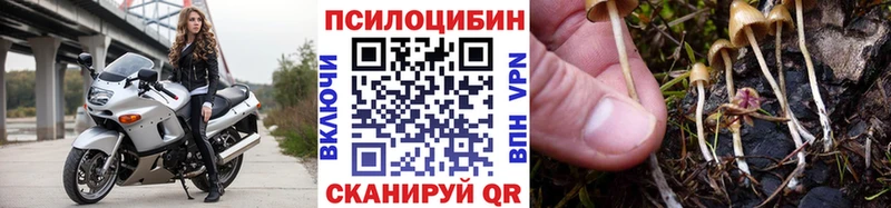 где найти Мещовск мориарти телеграм Псилоцибиновые грибы MAGIC MUSHROOMS